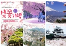 일본 벚꽃기행 특전