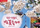 대구 달서구 <이월드 야간 벚꽃 축제 2014>